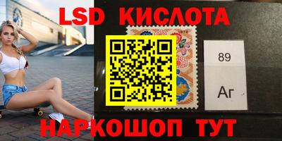 apvp Можга