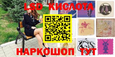 apvp Можга