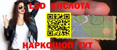 apvp Можга