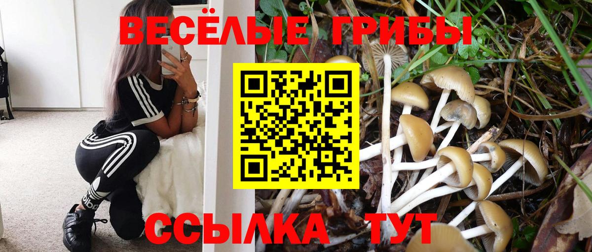 Галлюциногенные грибы мицелий  Вход с VPN  Верхняя Пышма 